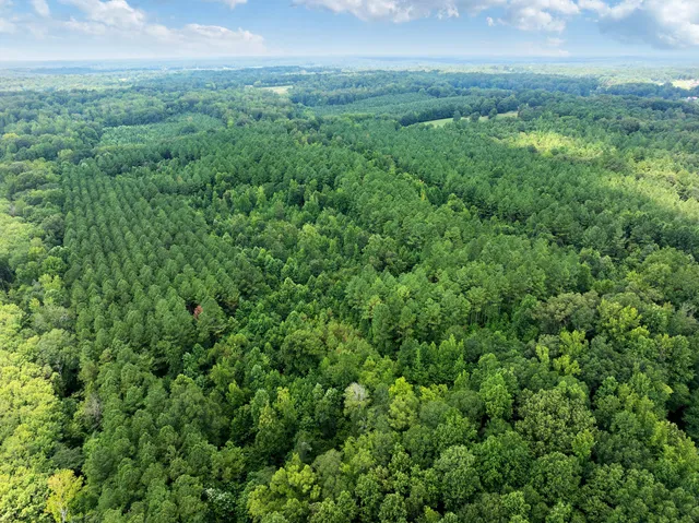a view of a yard with an outdoor seating
