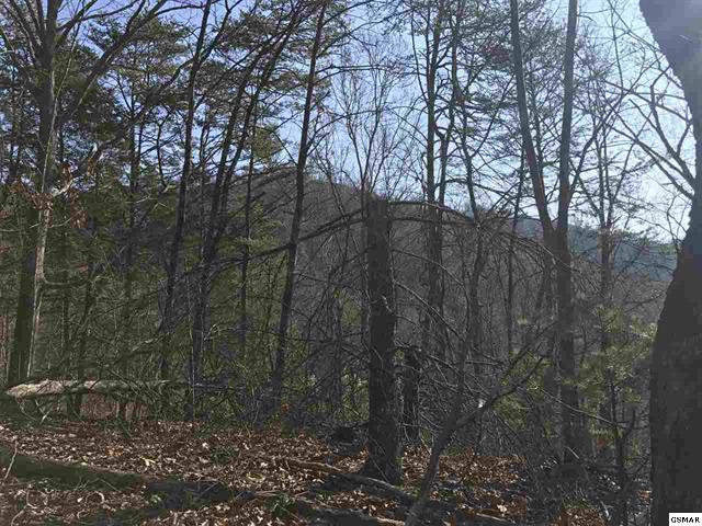 3489 Lost Branch Road Sevierville, TN 37862 - Photo 3 of 9 image1 (2)
