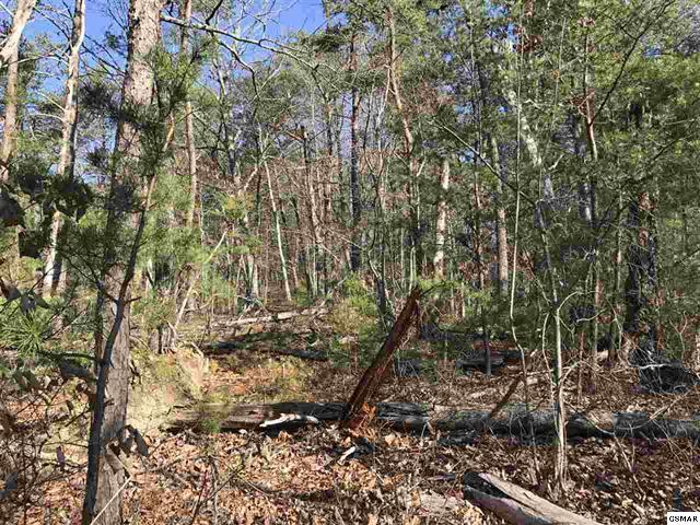 3489 Lost Branch Road Sevierville, TN 37862 - Photo 8 of 9 image2 (4)