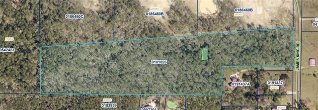 Tbh James King Road Hammond, LA 70403 - Photo 1 of 1 Gallery Image 1