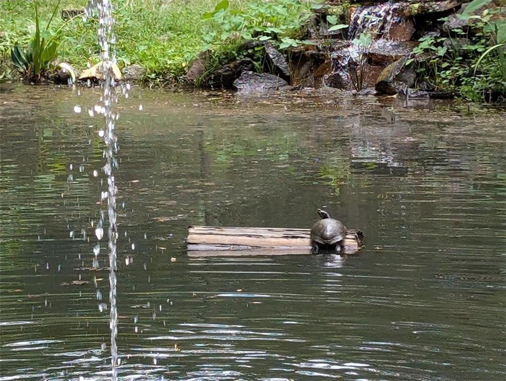 71012 Riverside Drive Covington, LA 70433 - Photo 28 of 31