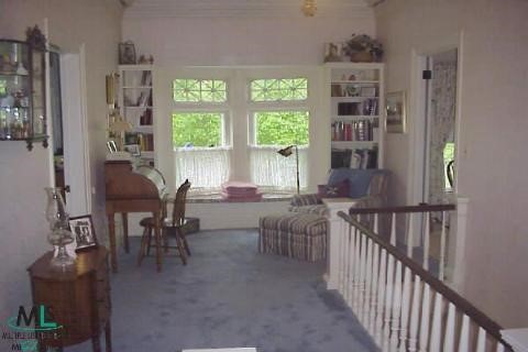 260 Church Street Romeo, MI 48065 - Photo 8 of 9 754488-7.JPG