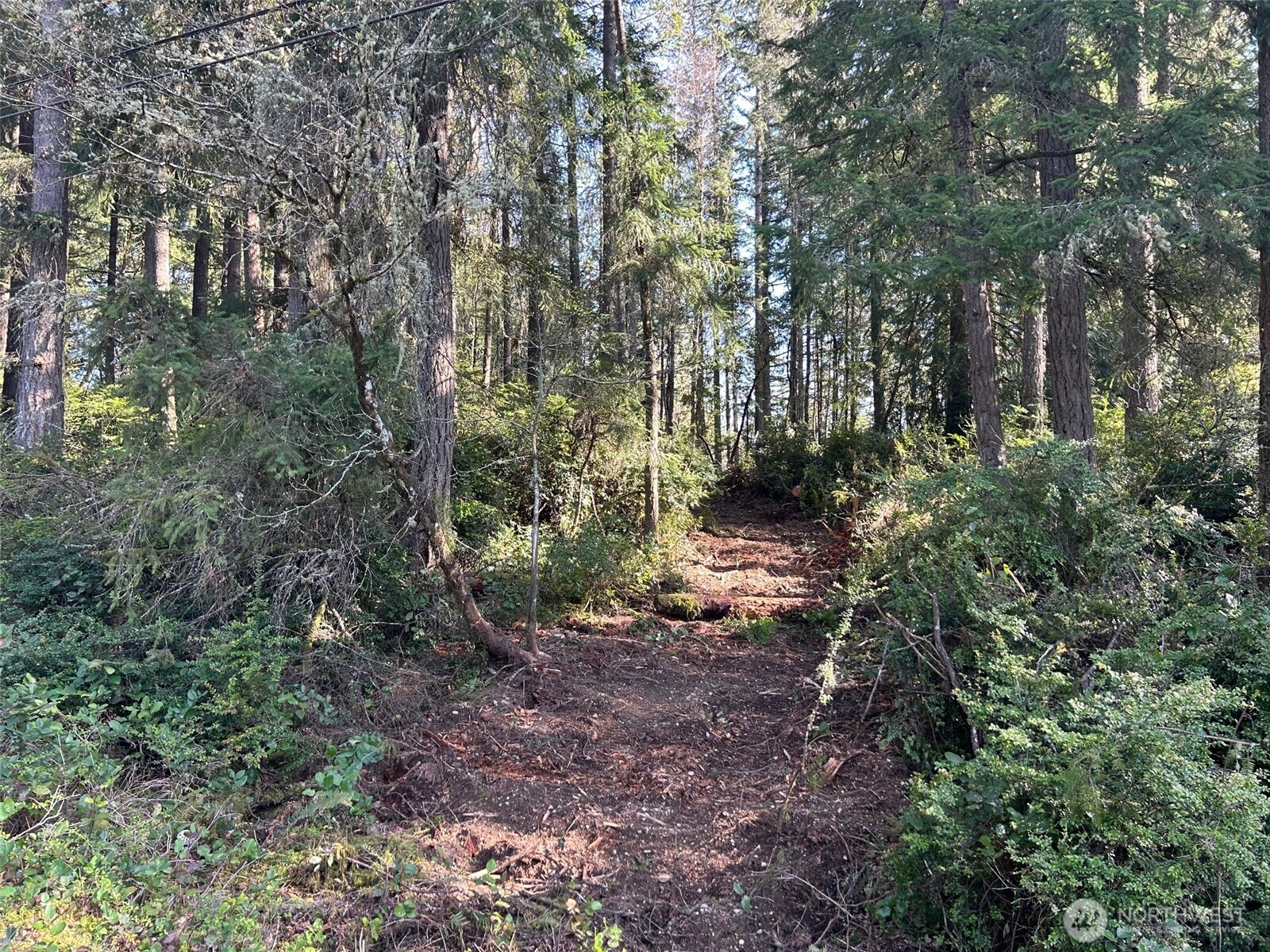 -xxx Southwest Spruce Road Port Orchard, WA 98367 - Photo 1 of 5 Gallery Image 1