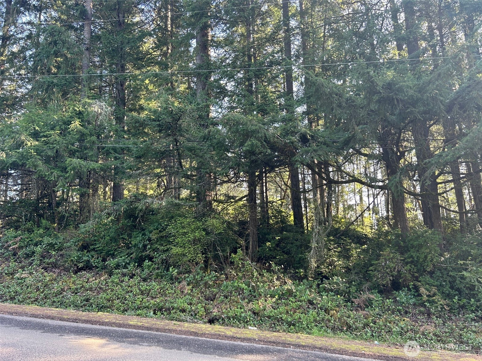 -xxx Southwest Spruce Road Port Orchard, WA 98367 - Photo 2 of 5 Gallery Image 2
