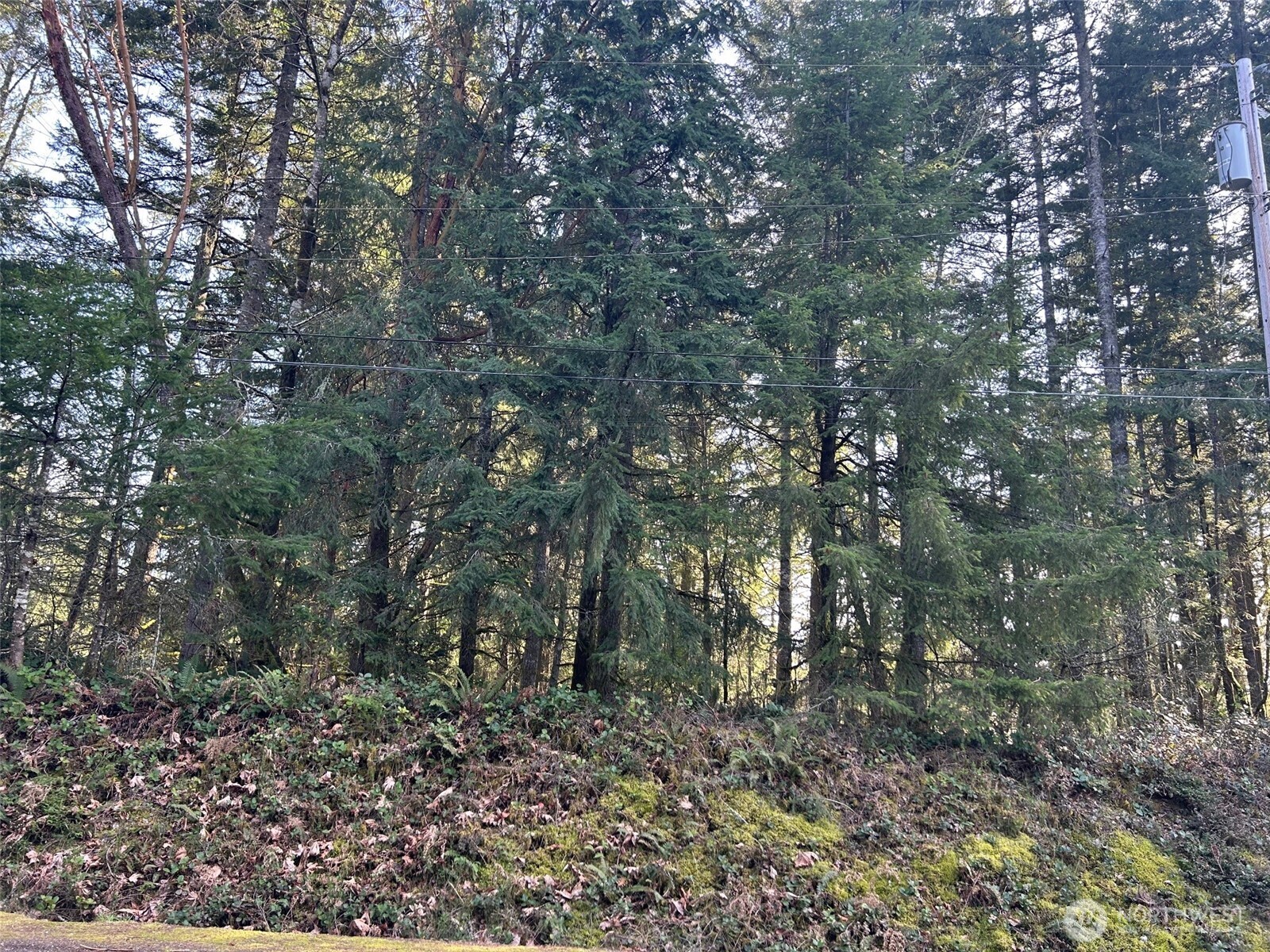 -xxx Southwest Spruce Road Port Orchard, WA 98367 - Photo 3 of 5 Gallery Image 3