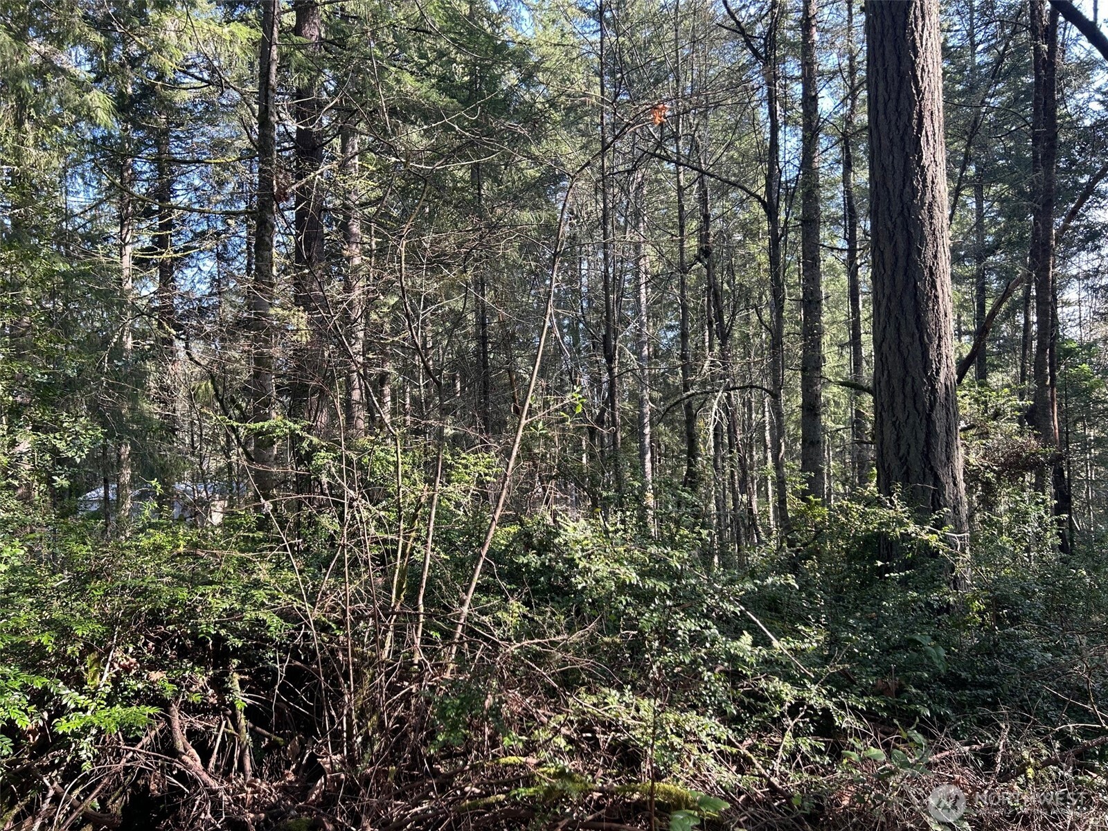 -xxx Southwest Spruce Road Port Orchard, WA 98367 - Photo 5 of 5 Gallery Image 5