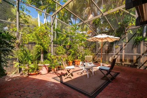 a view of a tree with a plant