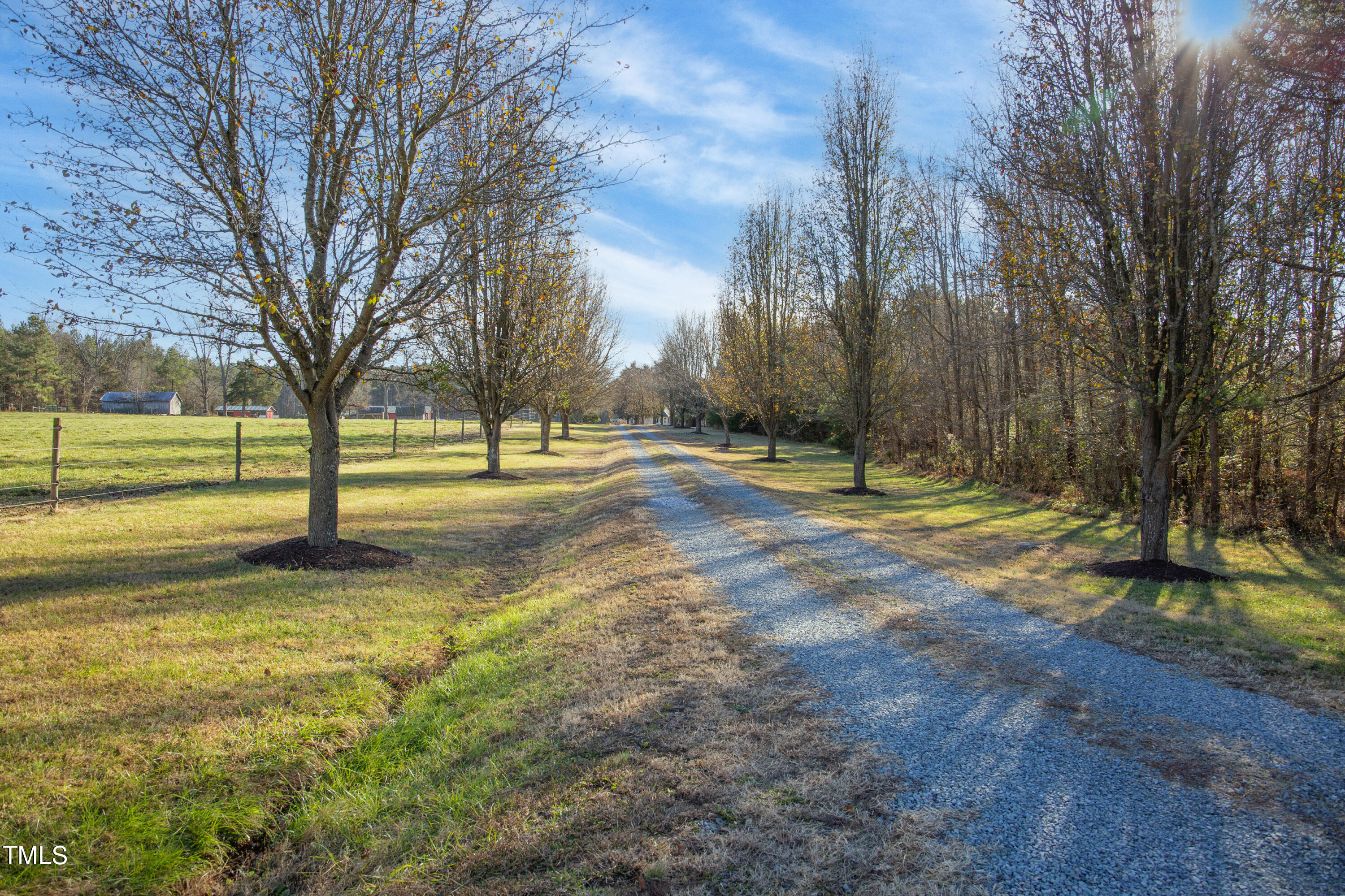 531 Archie Johnson Road Siler City, NC 27344 - Photo 2 of 46 a view of yard with swimming pool and trees