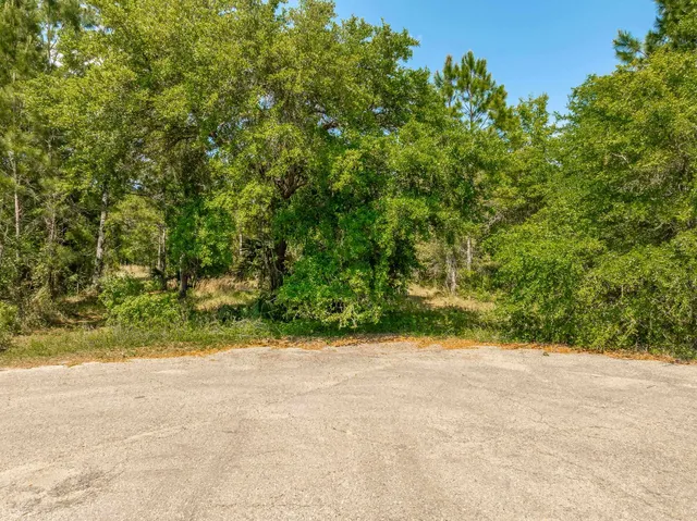 $99,000 | 16 Simmons Court, Ochlockonee Bay, FL 32346