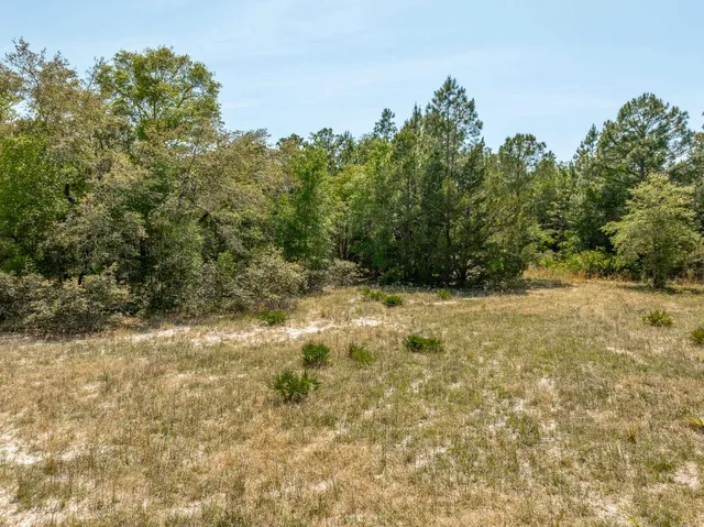 $99,000 | 16 Simmons Court, Ochlockonee Bay, FL 32346