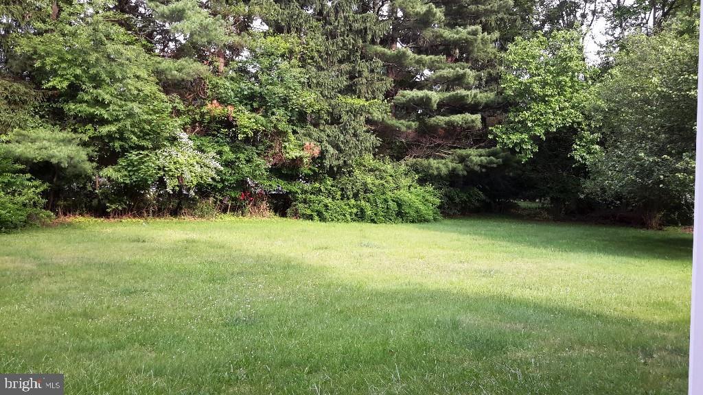 41 Dayton Road Flemington, NJ 08822 - Photo 16 of 17 Gallery Image 16