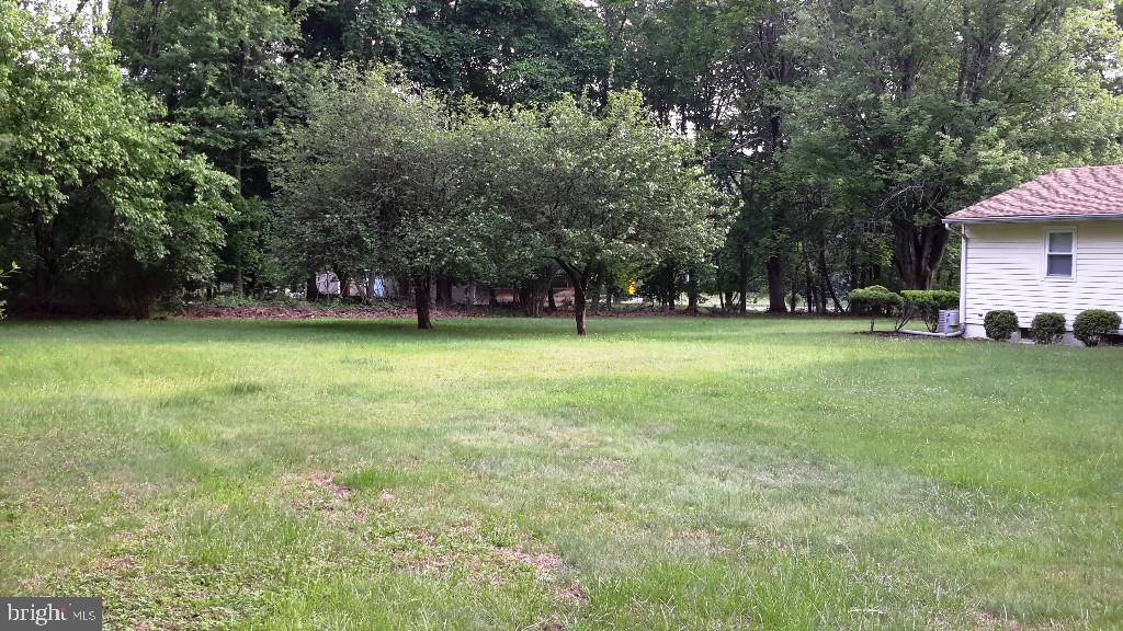 41 Dayton Road Flemington, NJ 08822 - Photo 17 of 17 Gallery Image 17