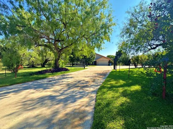 a view of yard with tree s