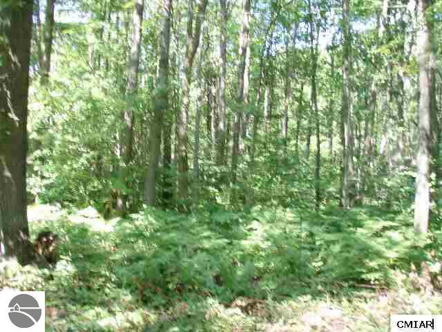 2131 East Monroe Road Harrison, MI 48625 - Photo 1 of 4 1765326.JPG