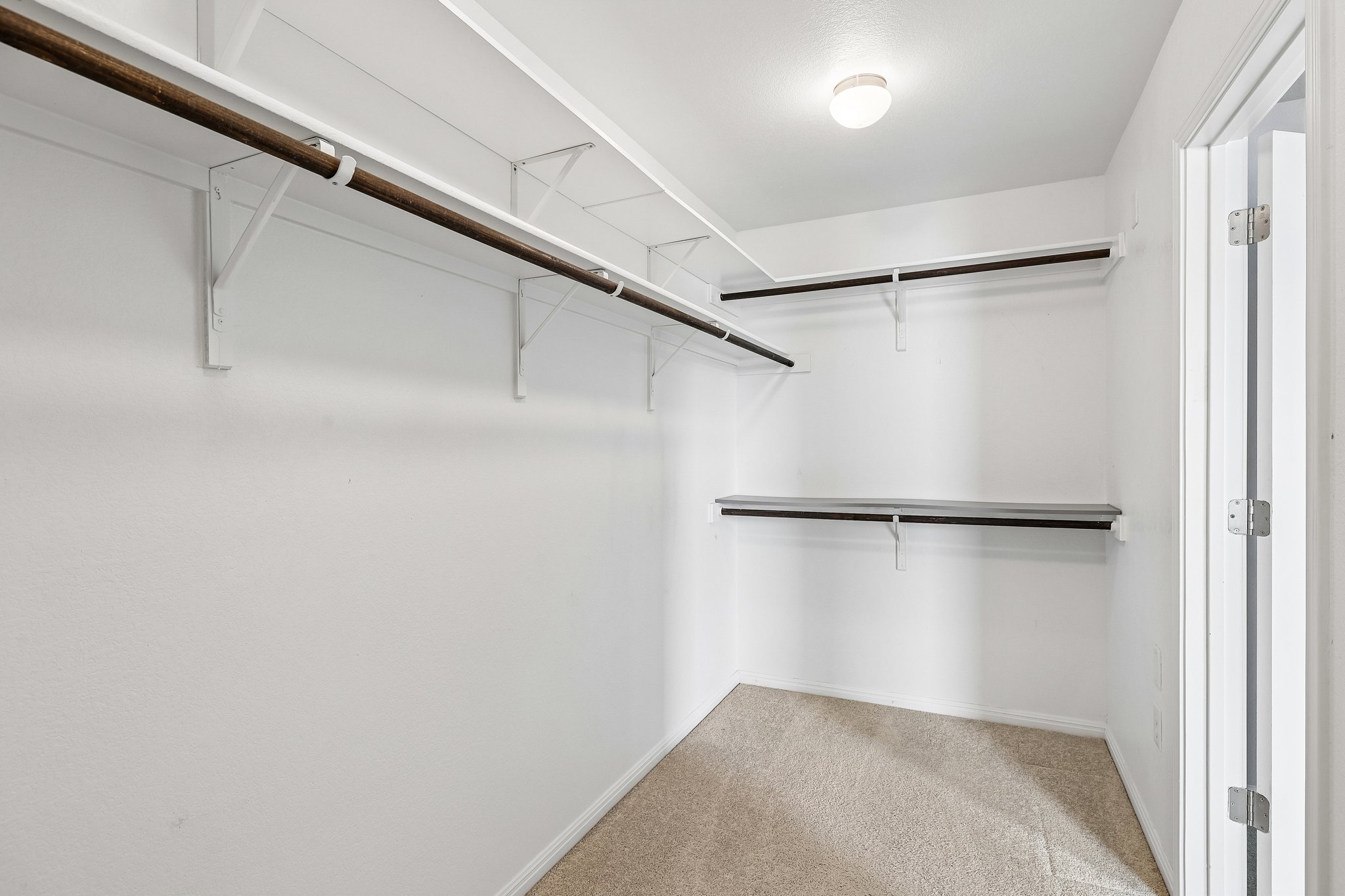 387 Guemal Road Buda, TX 78610 - Photo 34 of 39 Walk-in closet featuring light-toned carpeting, white walls, and multiple white shelving units with clothing rods