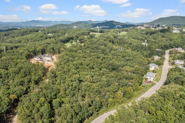 a view of a city with lush green forest