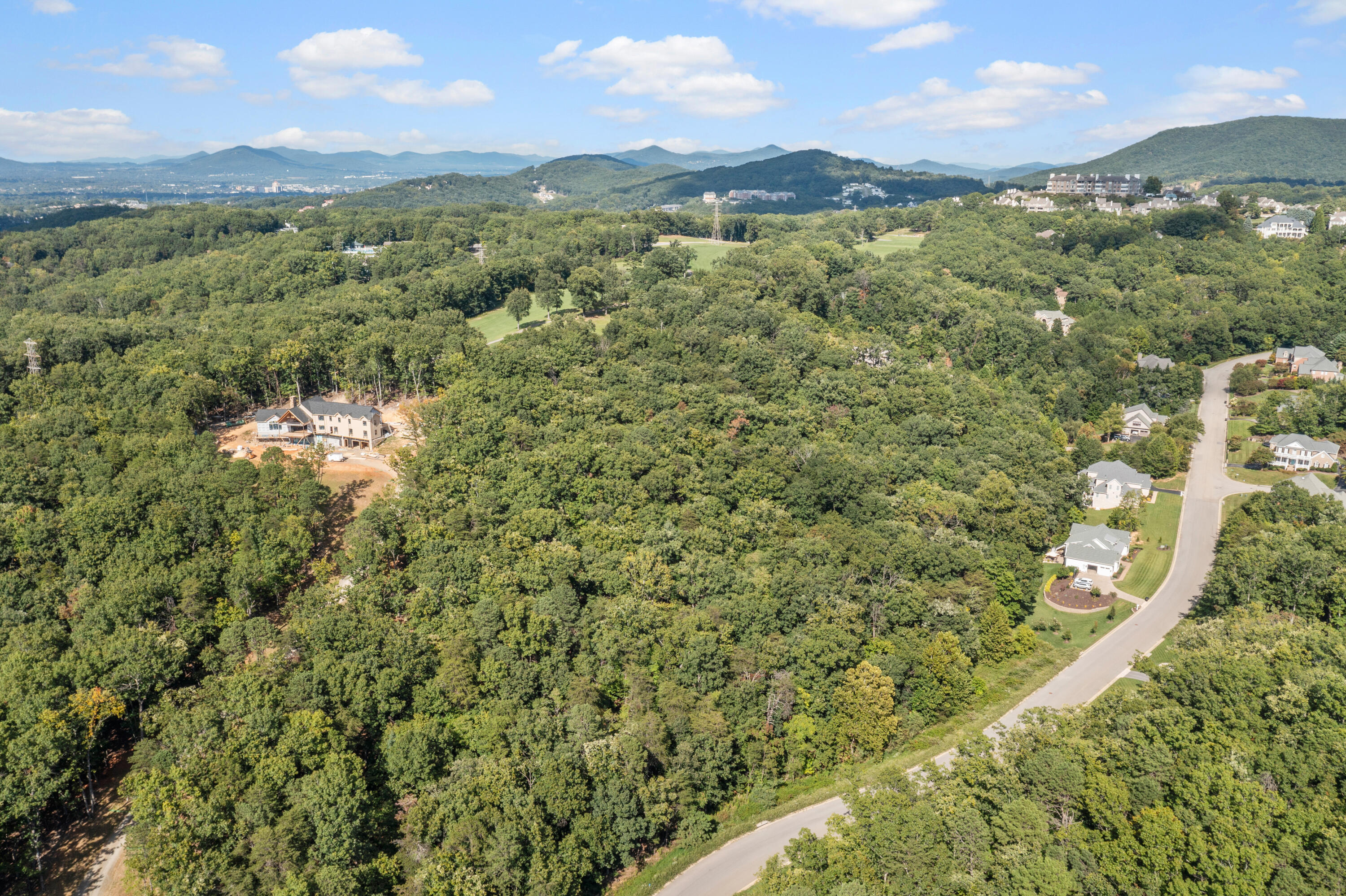 A1-b Hunt Camp Road Roanoke, VA 24018 - Photo 1 of 1 a view of a city with lush green forest