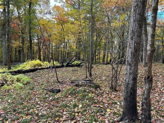 a view of backyard with green space