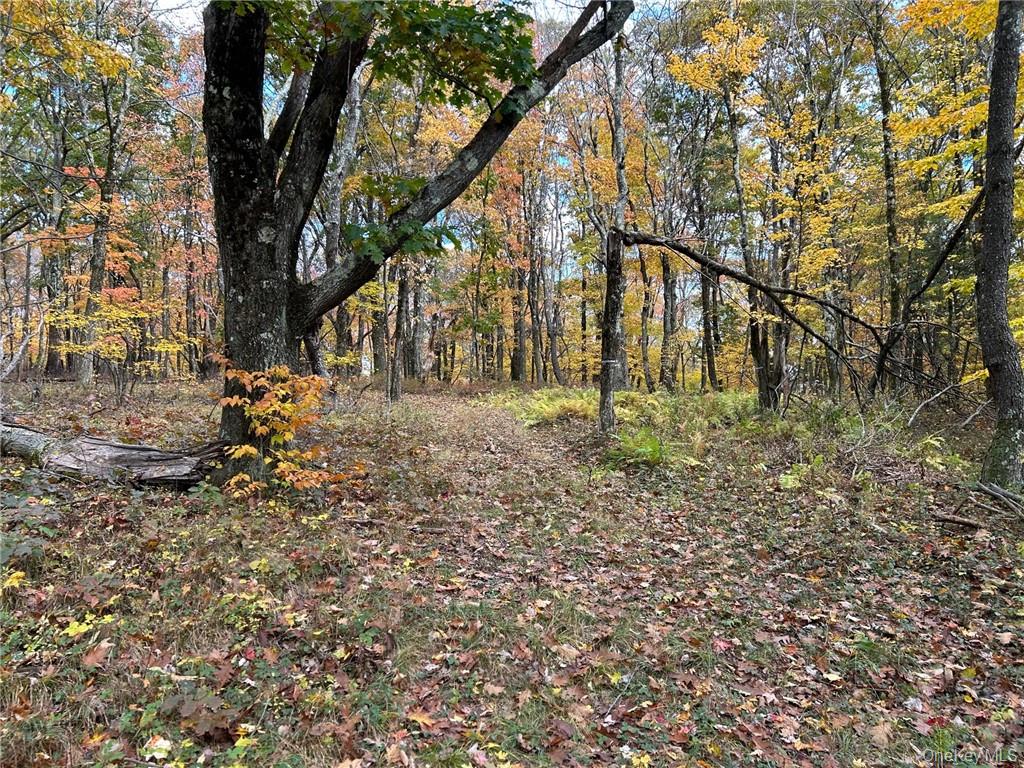 1 West Hill Road Austerlitz, NY 12017 - Photo 4 of 15 a backyard of a house with lots of green space