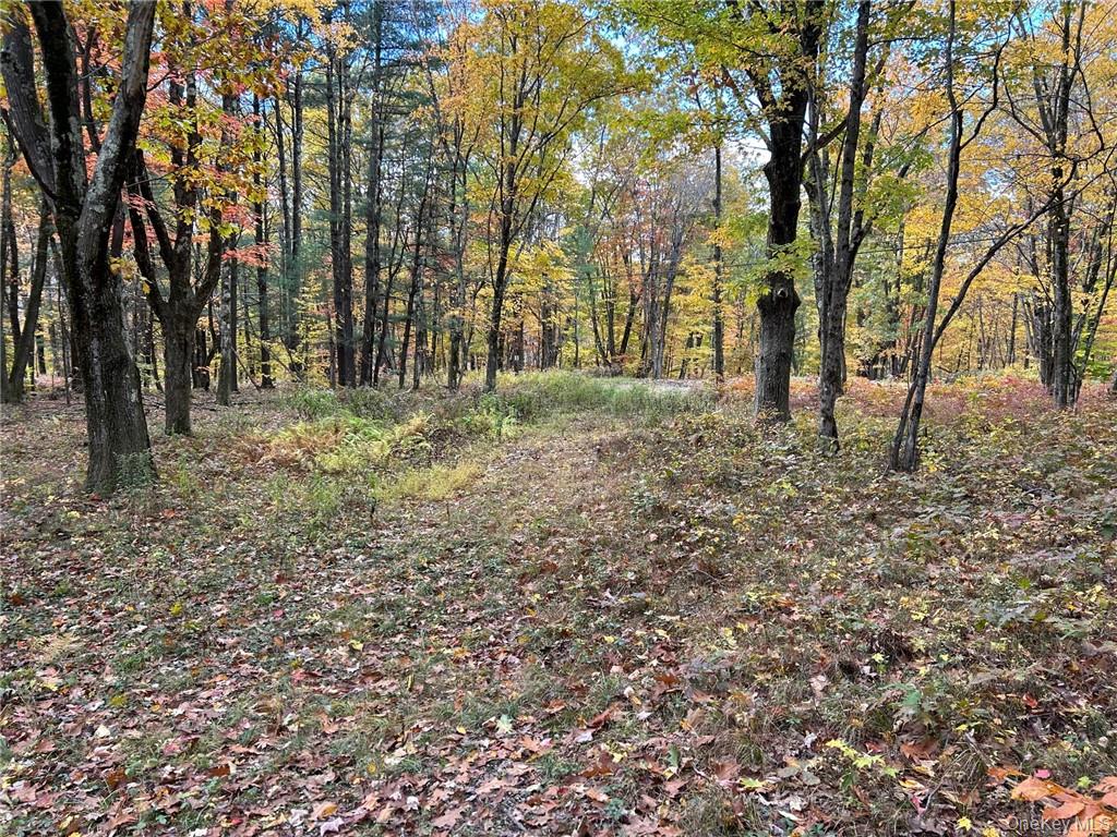 1 West Hill Road Austerlitz, NY 12017 - Photo 5 of 15 a backyard of a house with lots of green space