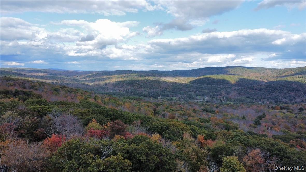 1 West Hill Road Austerlitz, NY 12017 - Photo 9 of 15 a view of a city and mountains