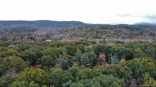 an aerial view of houses covered in trees