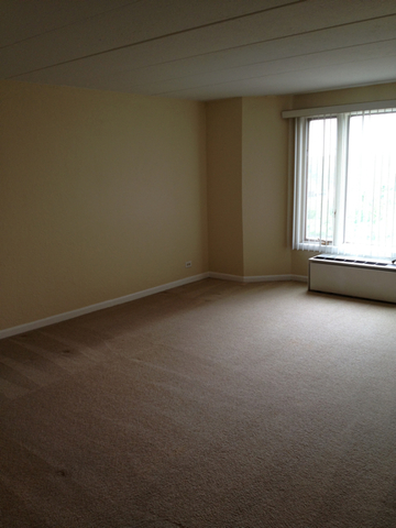 1 Renaissance Place, Unit 419 Palatine, IL 60067 - Photo 2 of 10