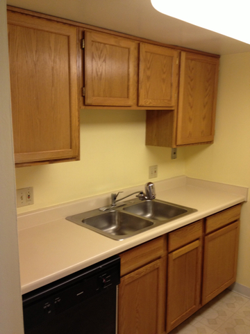 1 Renaissance Place, Unit 419 Palatine, IL 60067 - Photo 3 of 10