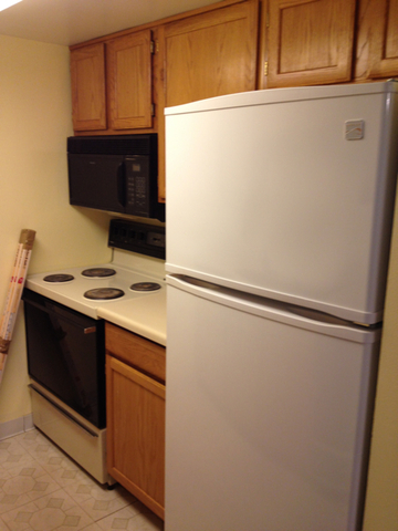 1 Renaissance Place, Unit 419 Palatine, IL 60067 - Photo 4 of 10