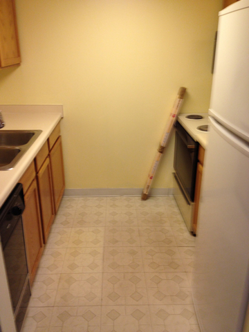 1 Renaissance Place, Unit 419 Palatine, IL 60067 - Photo 5 of 10