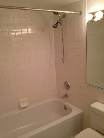 1 Renaissance Place, Unit 419 Palatine, IL 60067 - Photo 9 of 10