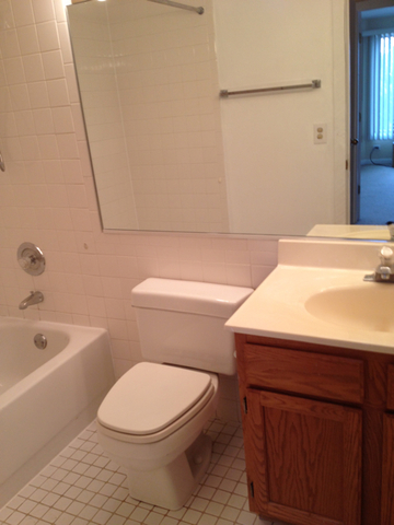 1 Renaissance Place, Unit 419 Palatine, IL 60067 - Photo 10 of 10