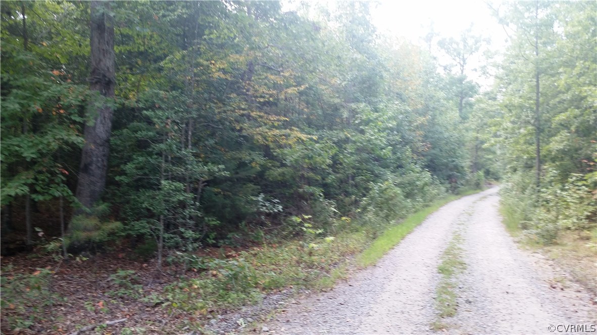 0 Friendship Road Ruther Glen, VA 22546 - Photo 2 of 2 Gallery Image 2