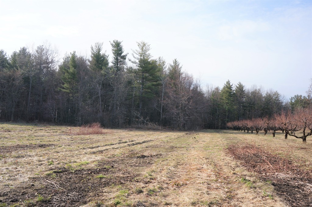 0 Old Littleton Road Harvard, MA 01451 - Photo 5 of 15