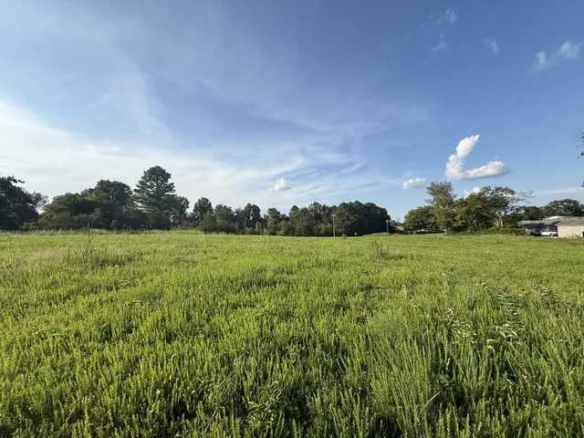 a view of an outdoor space and yard