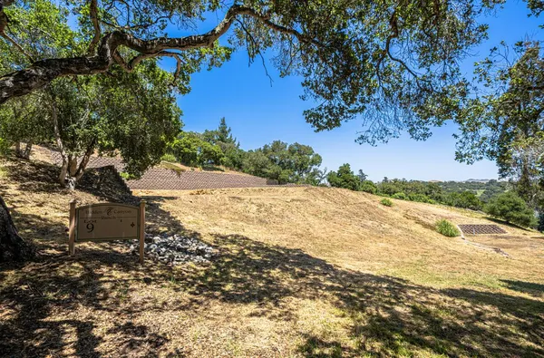 a view of backyard of the house