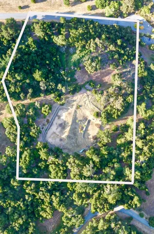 a view of a road with plants and large trees
