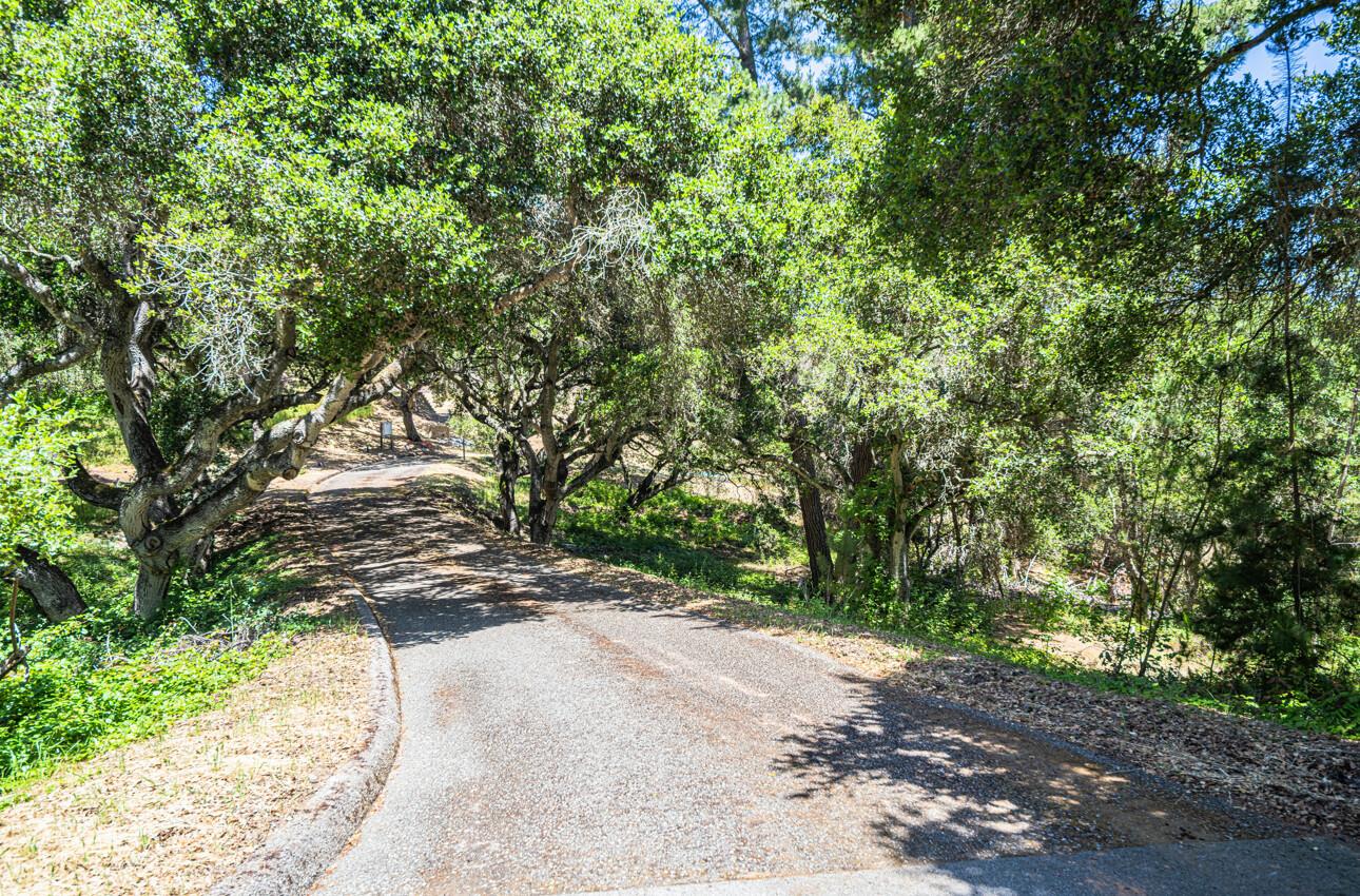8734 Eagles Roost Road Salinas, CA 93907 - Photo 3 of 15 a view of a road with plants and large trees