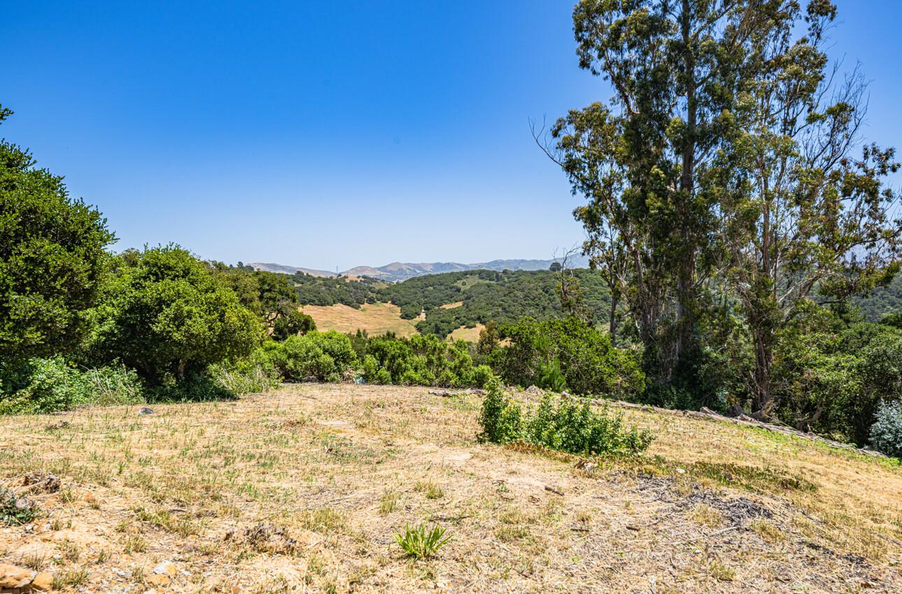 8734 Eagles Roost Road Salinas, CA 93907 - Photo 9 of 15 a view of a yard with a tree