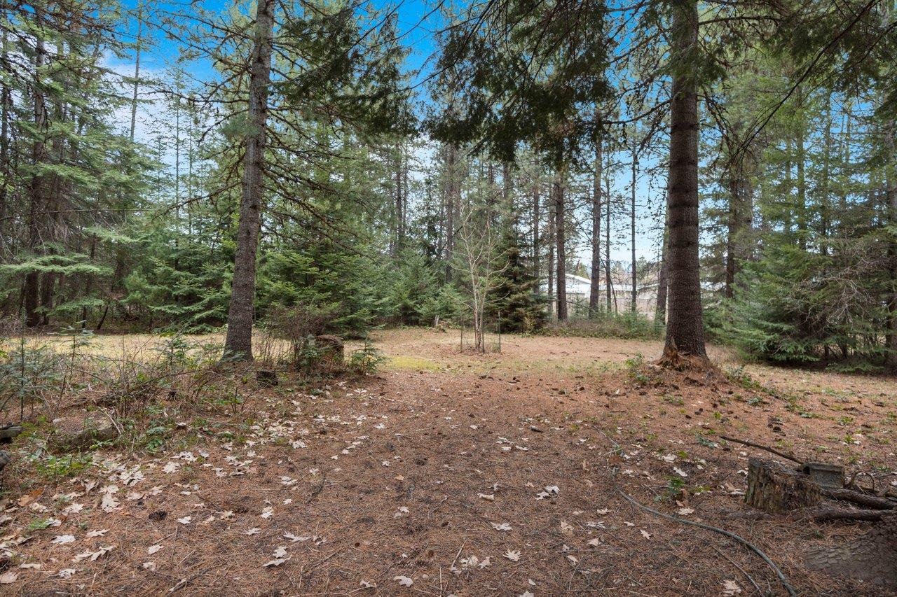 42 Silver Birch Road Newport, WA 99156 - Photo 26 of 40 Gallery Image 26