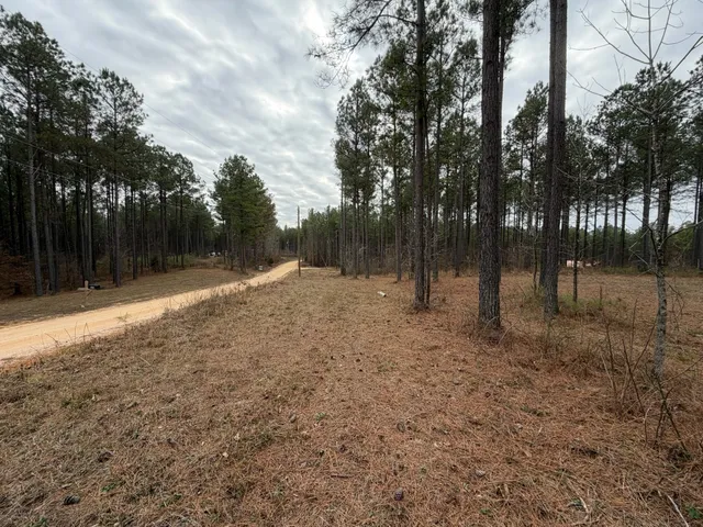 a view of outdoor space with trees