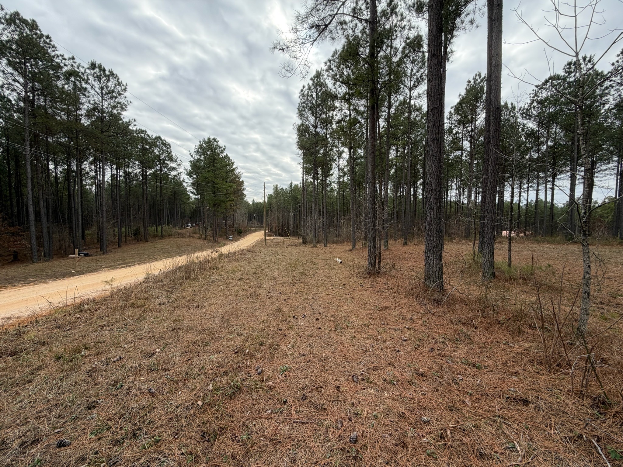 a view of outdoor space with trees