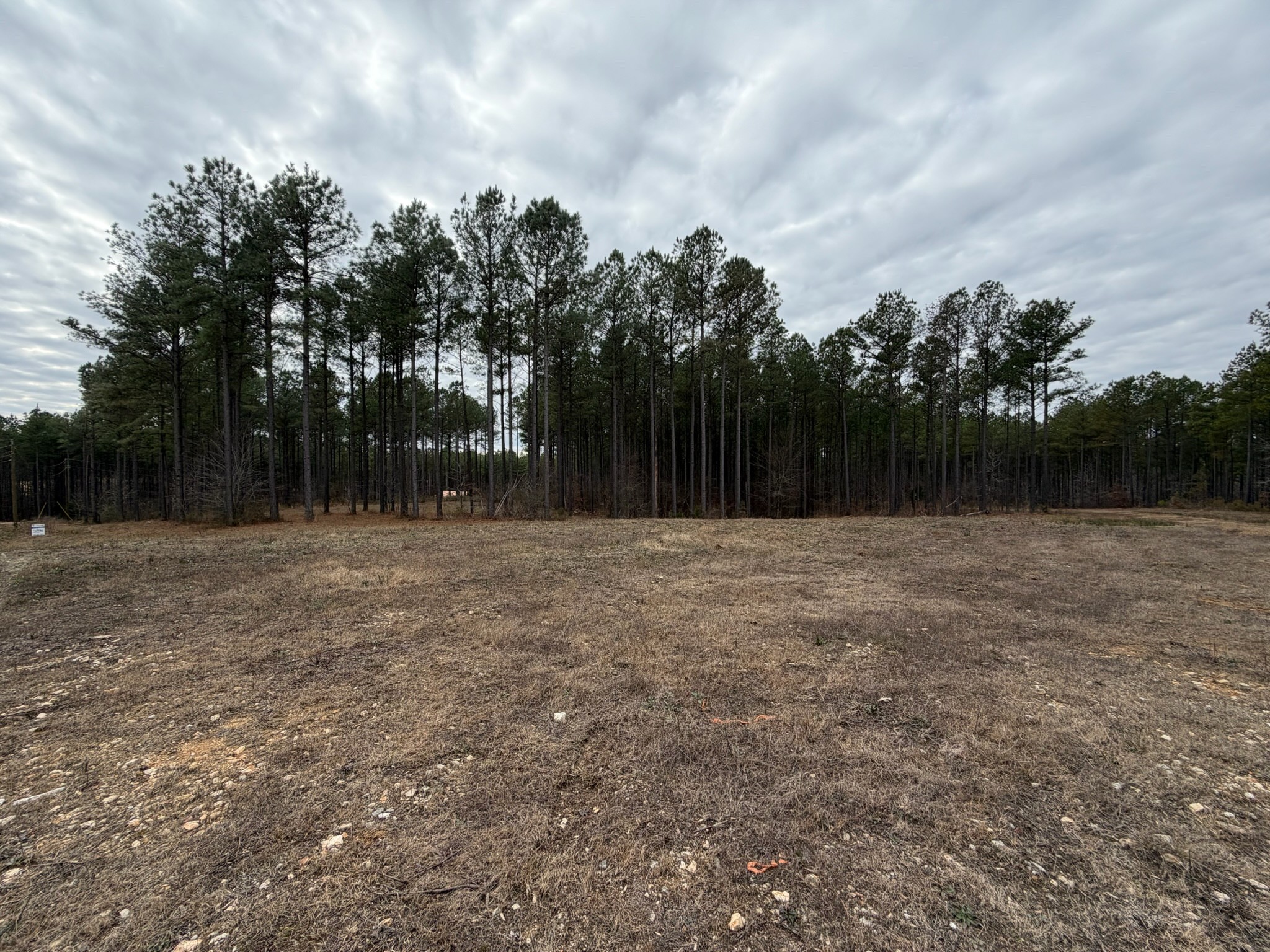 2 A Bartlett Road Reagan, TN 38368 - Photo 11 of 13 a backyard of a house with lots of green space