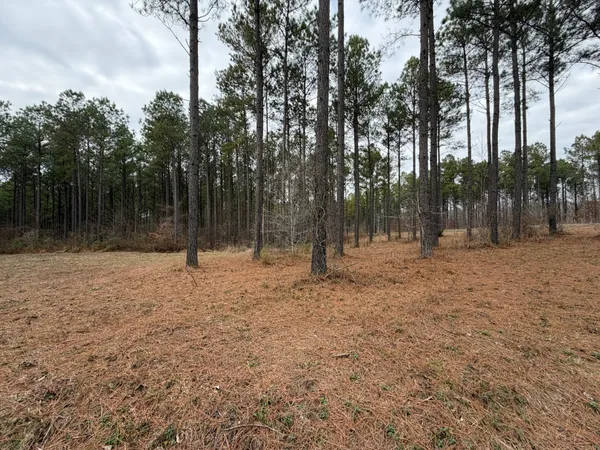 a view of outdoor space with trees