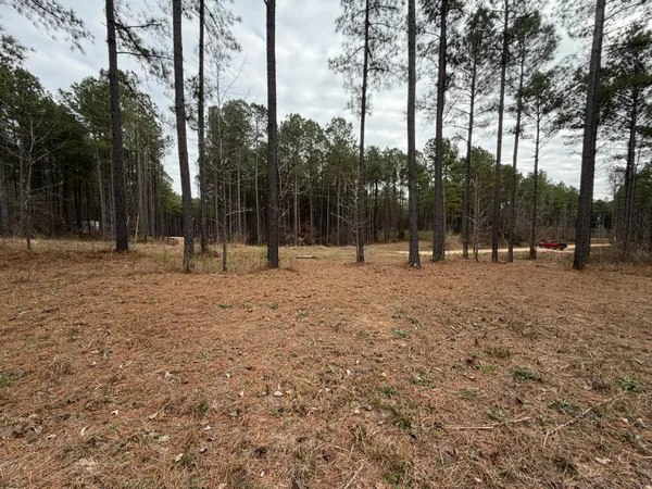 a view of outdoor space with trees