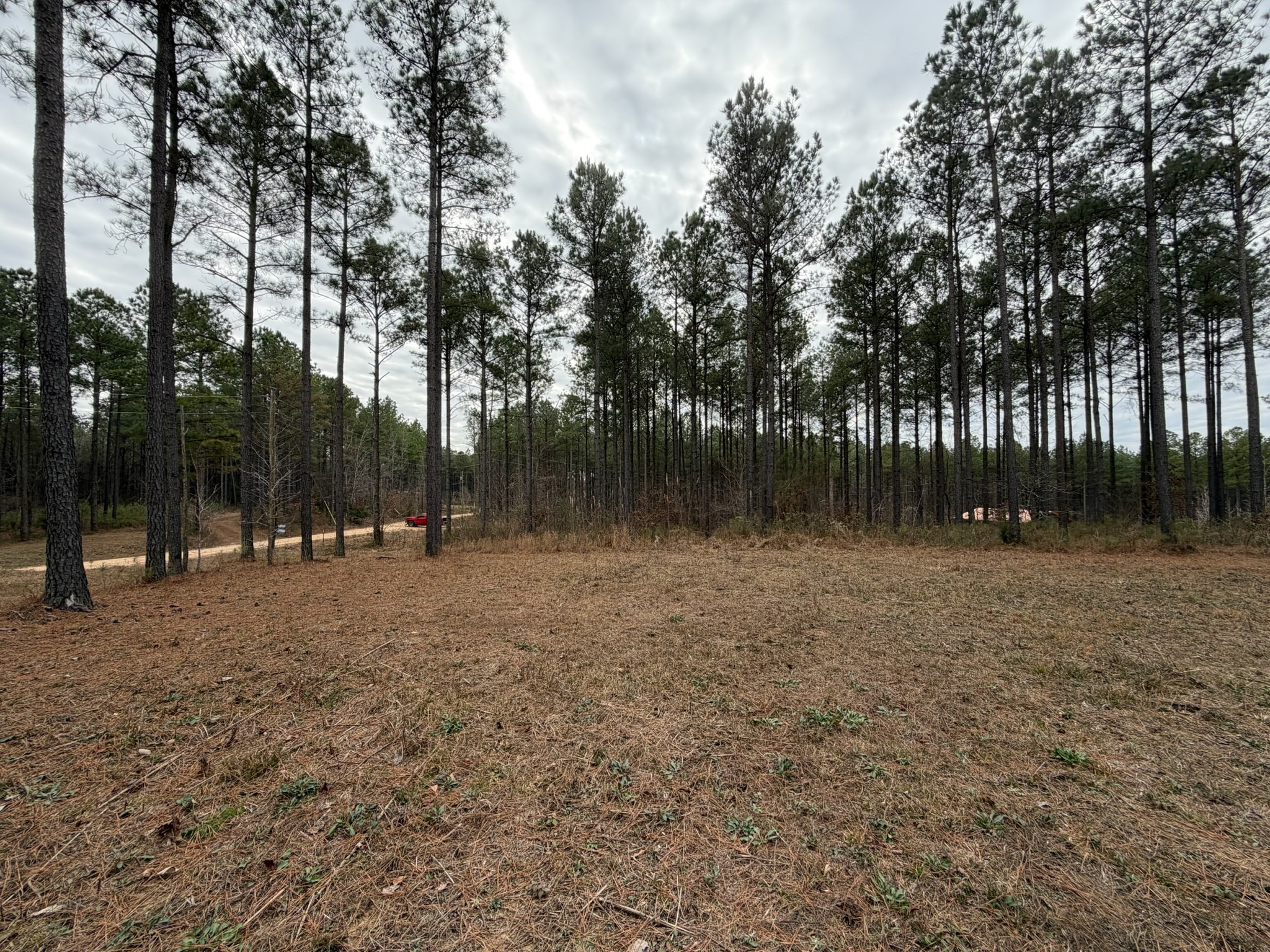 2 A Bartlett Road Reagan, TN 38368 - Photo 6 of 13 a backyard of a house with lots of green space