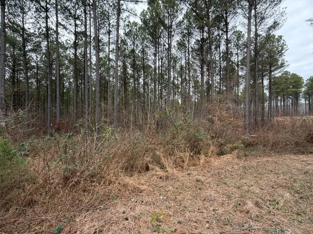 a view of a covered with trees in the background