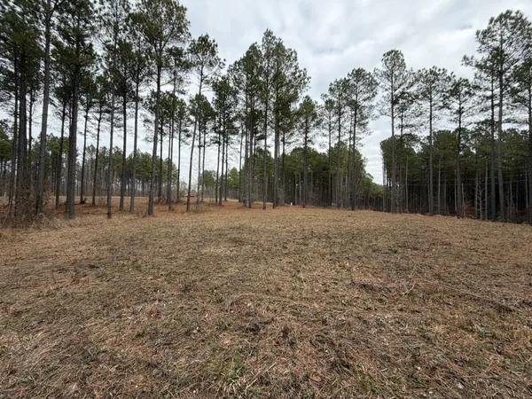 a view of outdoor space with trees