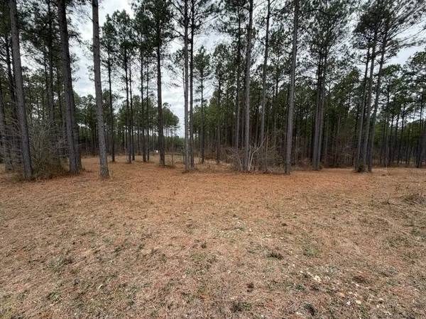 a backyard of a house with lots of trees