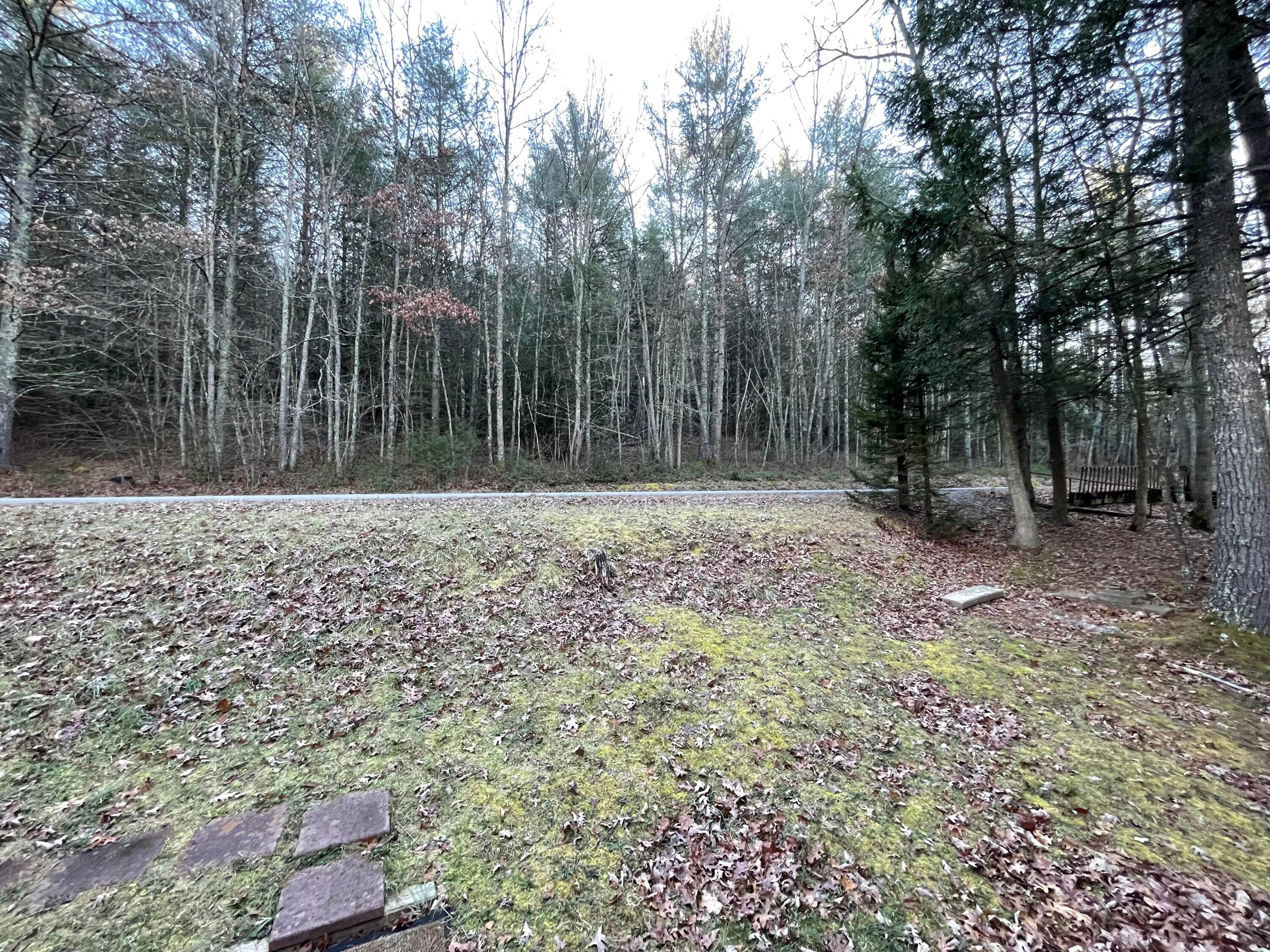 778 Curry Road Dunmore, WV 24934 - Photo 16 of 32 Gallery Image 16